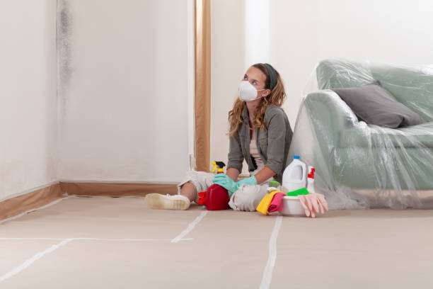 Reliable Mold Testing contractor in Mullica Hill, NJ by WQB Mold Removal